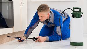 Pest control technician during follow-up visit
